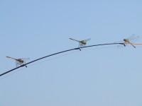 20130102-DSCF0149.jpg