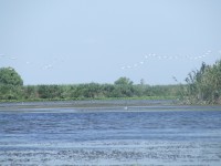 20130103-DSCF0247.jpg