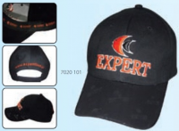 sapca-expert-.png