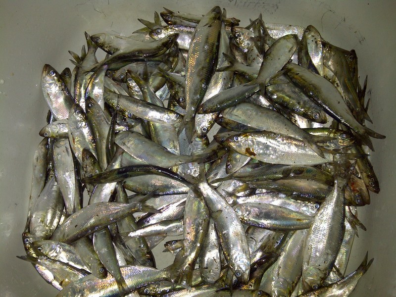 IMG-20120911-00419.jpg