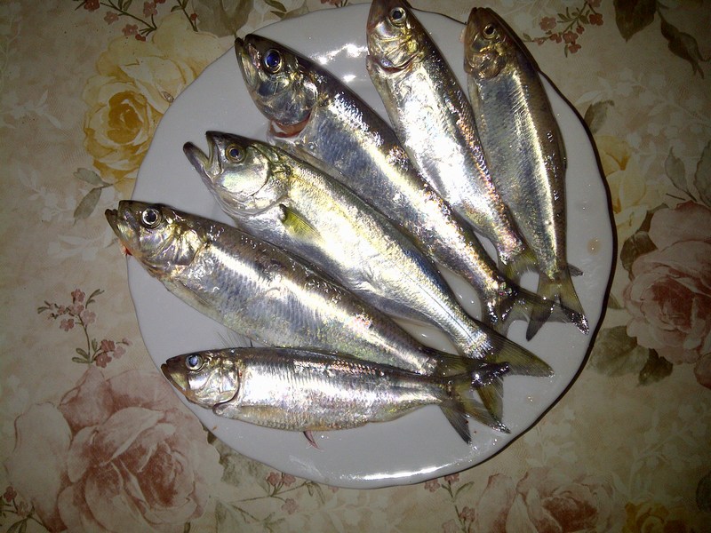 IMG-20120911-00421.jpg
